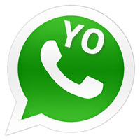 Yo WhatsApp Old Version