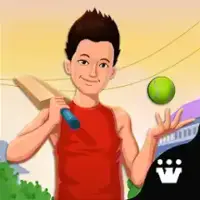 Gully Cricket Mod Apk