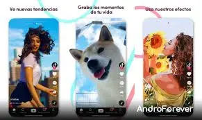 descargar videos de tiktok con marca de agua